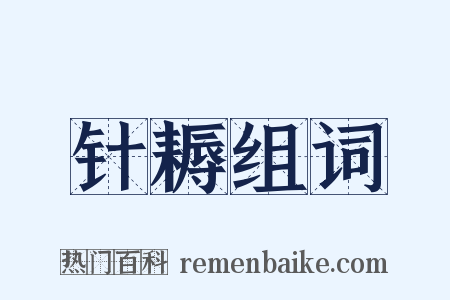 针耨组词是什么意思的图片